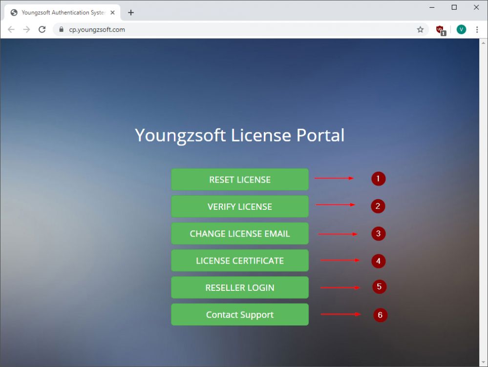 Youngzsoft license portal